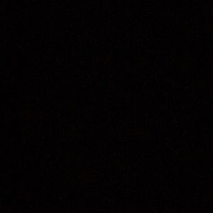 Meet your Posher, Dani